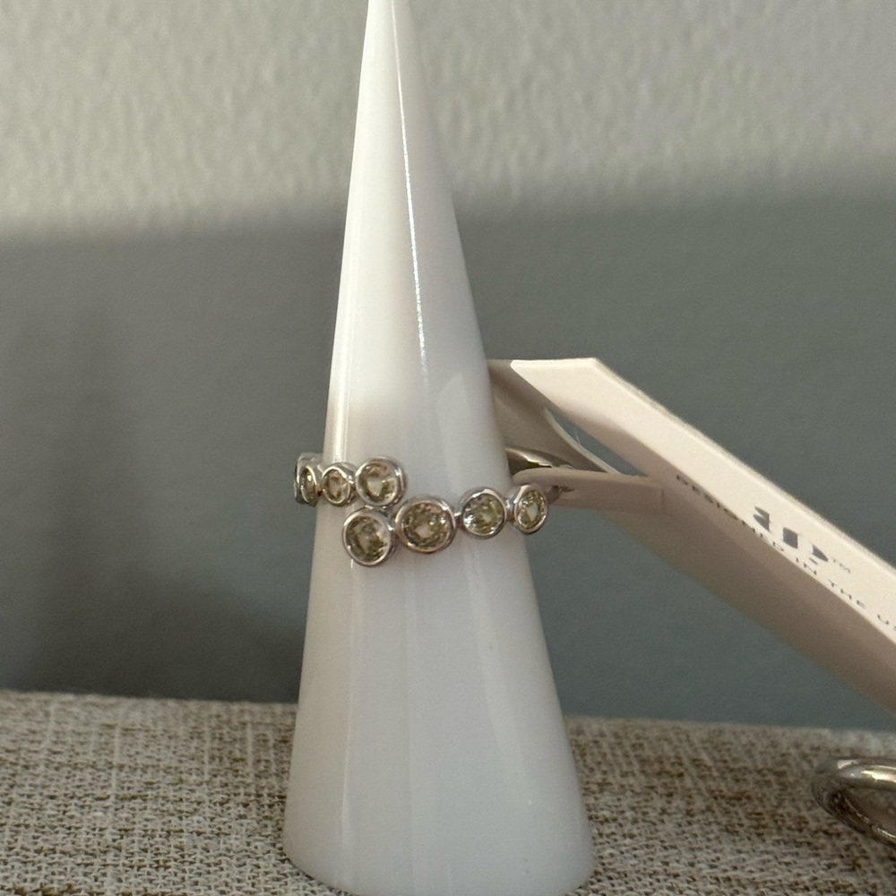 BP Silver Earrings